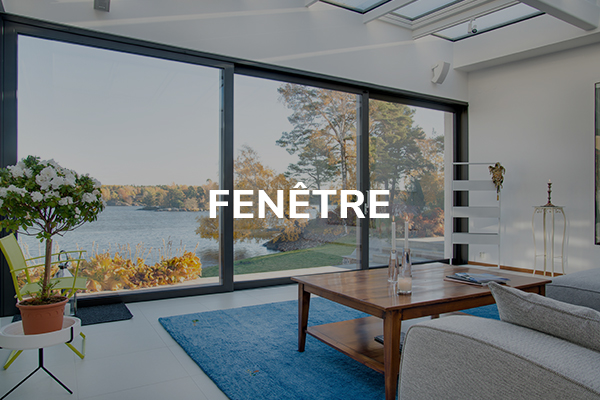 Fenêtres